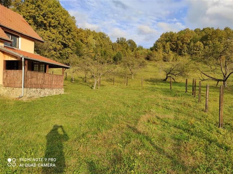 RECO Casa de vacanta in Borod - 2