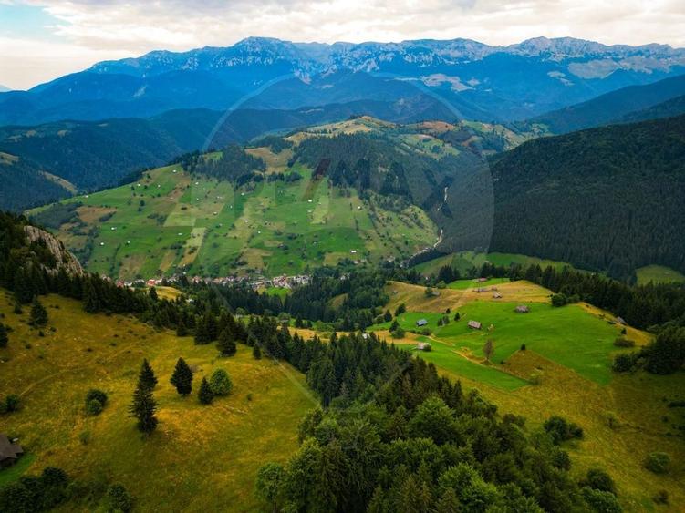 Teren de 7830mp de vanzare in Fundata! Comision 0% - 19