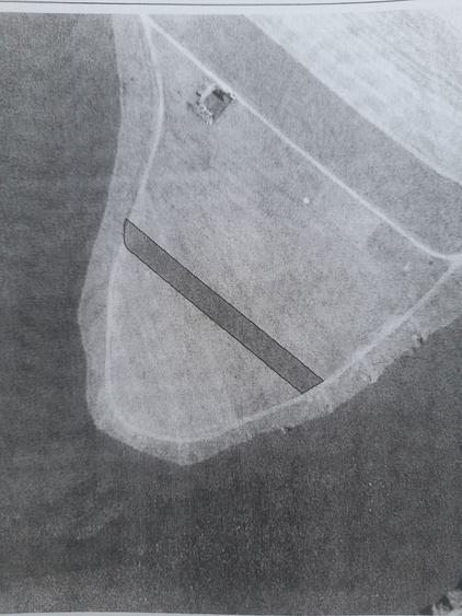 Teren intravilan Belciugatele 1250 mp - 7