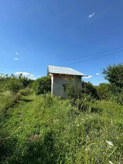 Teren intravilan 20280 mp, oportunitate investitie, Gageni, Prahova - 18