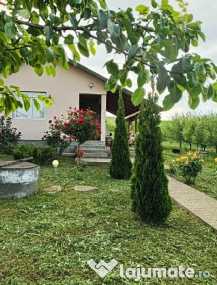 Casa de vacan?a in Ludu?, zona Candarai intre Cluj ?i Targu Mure? - 7