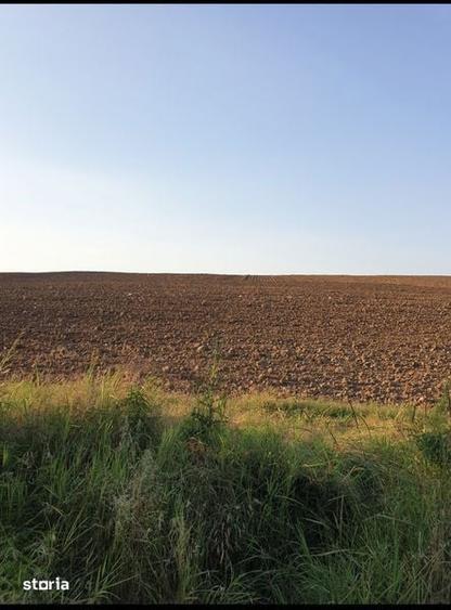 Vand teren la balta Preajba - 1
