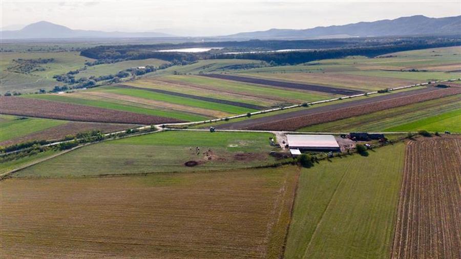 FILM! 18.000 mp, extravilan, agricol+ constructii:ferma,investitii agricole, Rot - 3