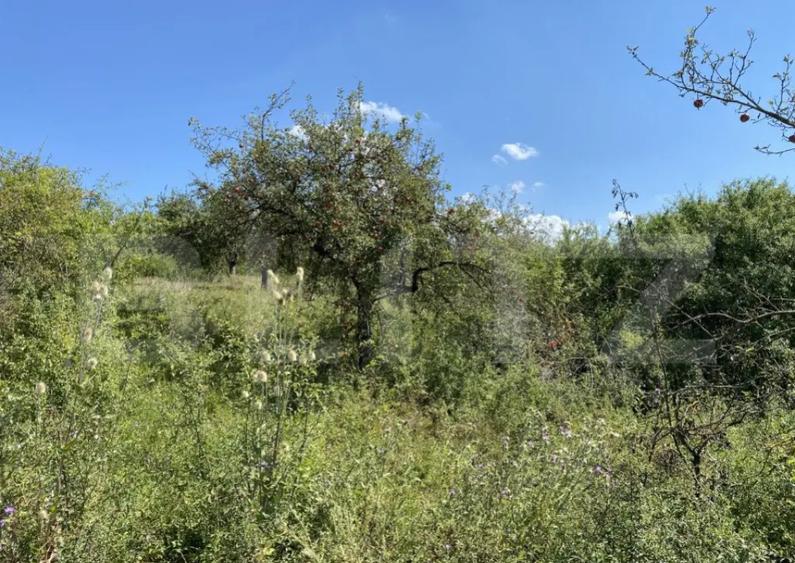 Teren extravilan in apropierea lacului Varsolt in suparfata - 7