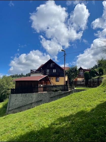 Vila Centrala cu Vedere Unica la Castelul Bran - 3