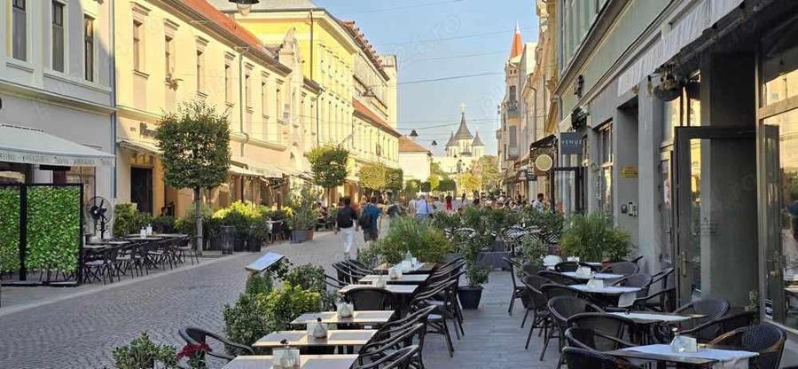 Apartament 2 camere de vanzare, ultracentral, Str. Vasile Alecsandri - 19