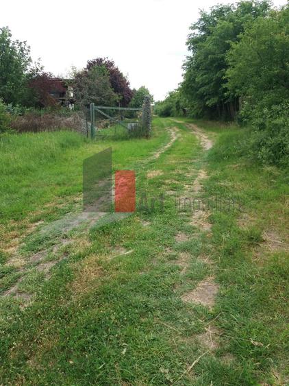 Teren Buftea cu iesire la lac - 6