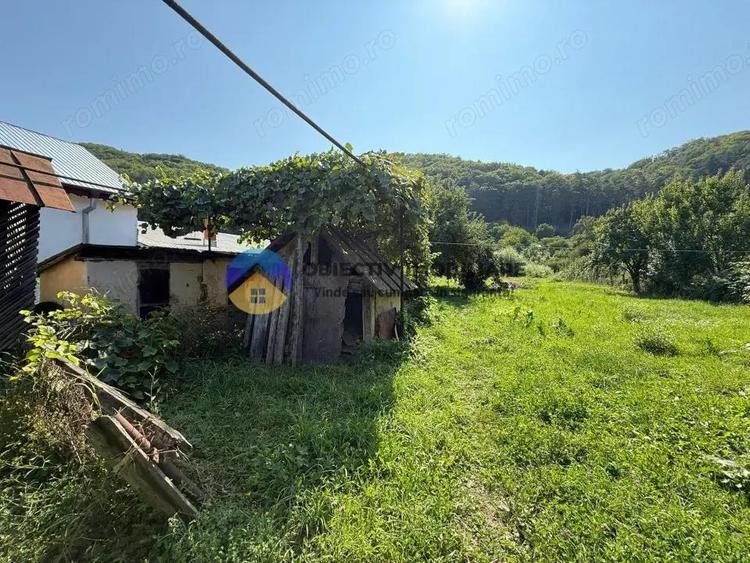 Casa batraneasca / Piatra Neam? / Pentru iubitorii de natura - 4