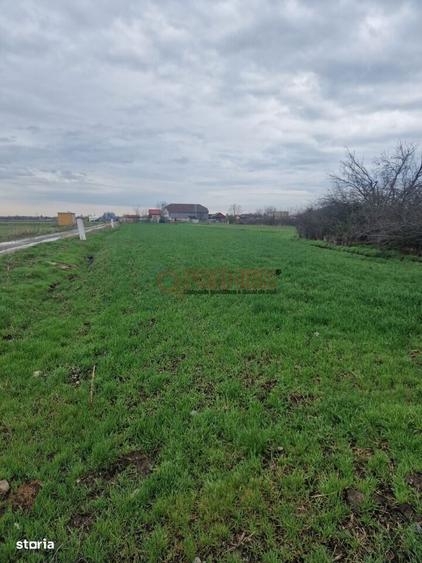 Teren Fundulea 1000 mp | 25 min Bucuresti | Deschidere 55m - 7