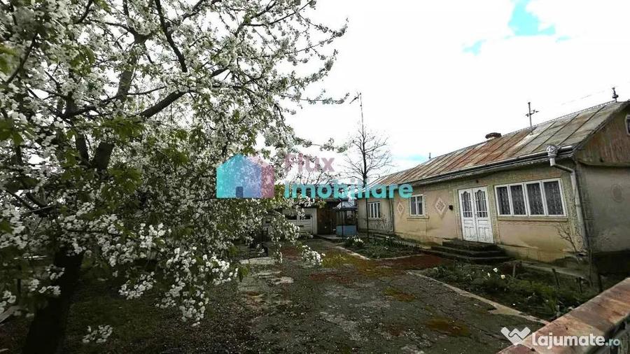 Casa in Dumbraveni - 1