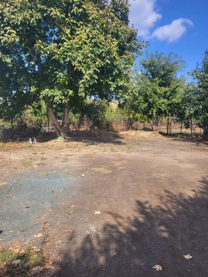 Teren intravilan zona Viile Noi - 10