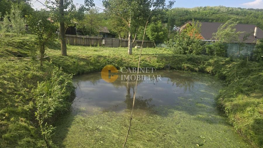 Oază de liniște și natură! Casă  cu 2 heleșteie și pârâu în curte – Probota - 9