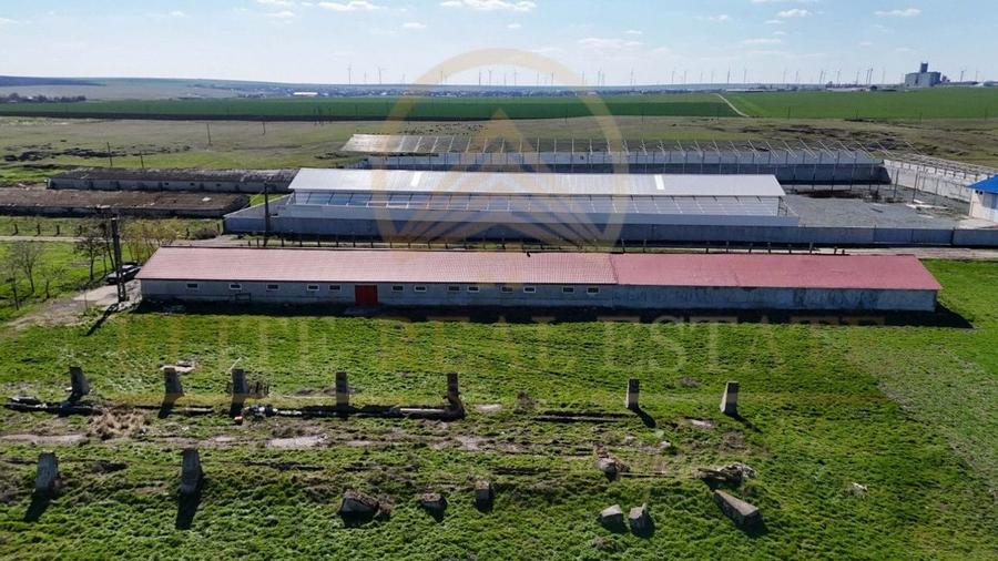 Tariverde - Ferma zootehnica functionala, 3 hectare teren intravilan! - 6