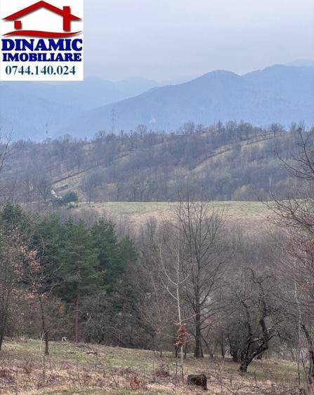 6000 MP teren intravilan, sat Bistrita, 9 Eur/MP - 1