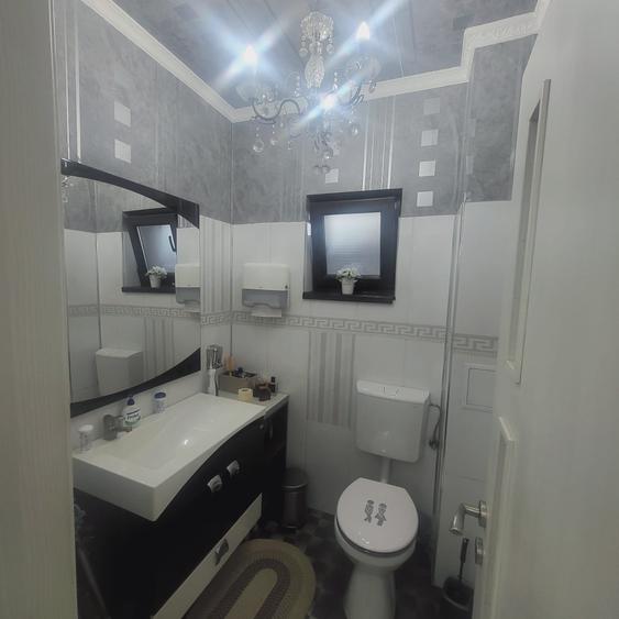 FUNDENI-DOBROIESTI, vila 2014 P+M, singur curte - 12