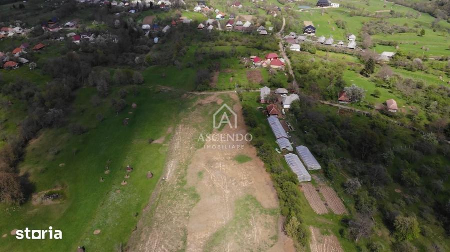 Teren de 19356 mp, în Ocna Șugatag