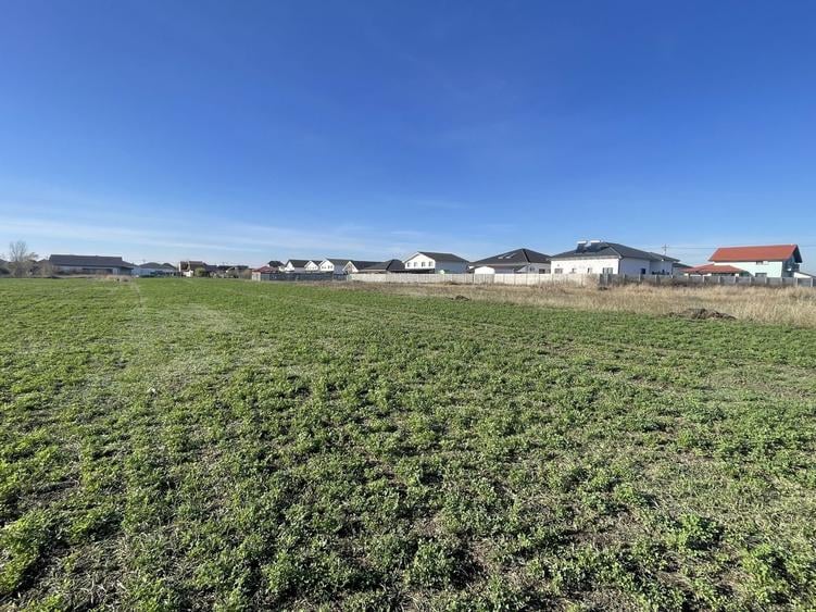 Teren 4316 mp Giarmata Vii-zona mica industrie, depozitare si servicii - 3