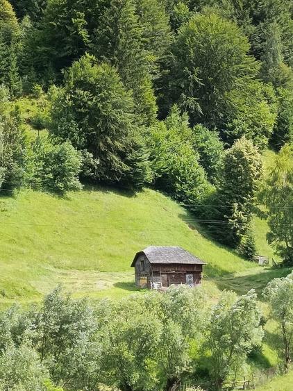 Teren intravilan - 6