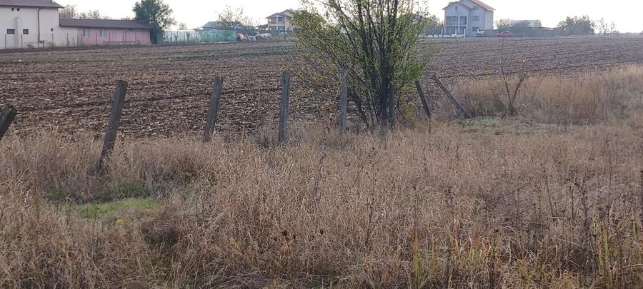 Frumusani -Vanzare teren intravilan - 4