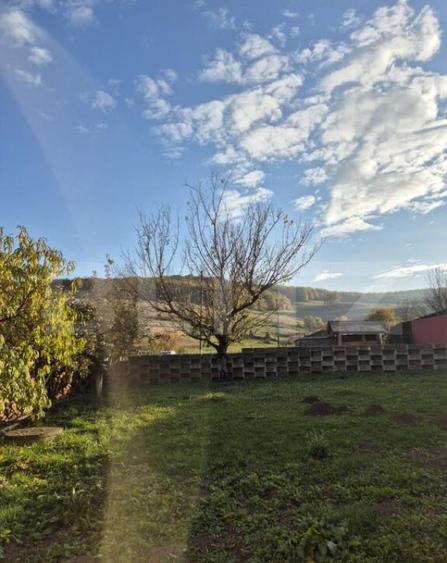 Proprietate de vanzare in Bardesti cu 1900 mp teren - 7