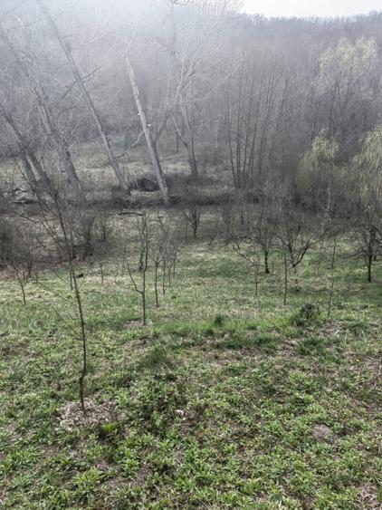 Vanzare casa pitoreasca, teren 2500mp - 5