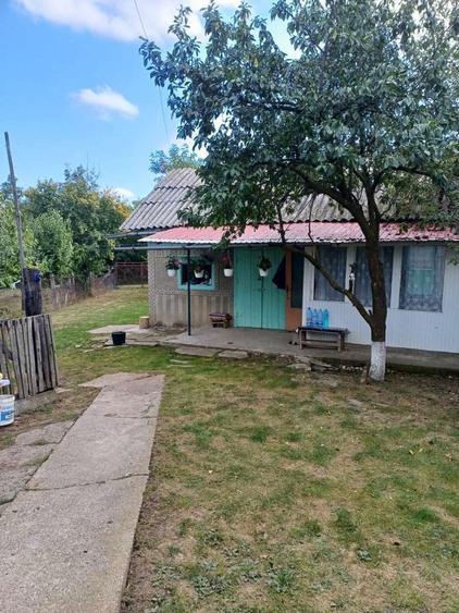 Casa batraneasca +teren 3000 mp la doar 18 km de Oras ! - 1