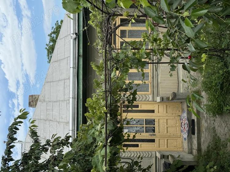 Vand urgent casa locuibila in Horia - 1