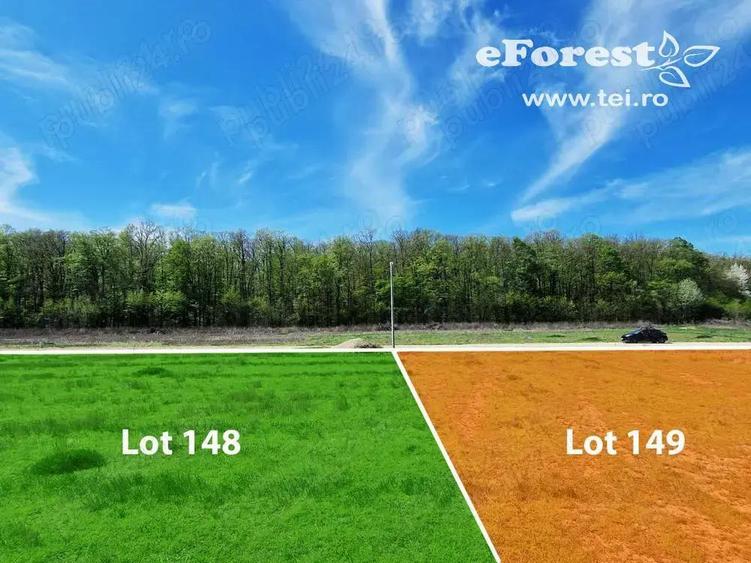 Profita acum de oferta de Pa?te!!! Lot lini?tit langa padure, Crevedia, 665mp - 6