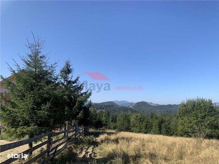 Spațiu comercial, în Piatra