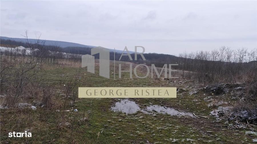 Baicoi 7500 mp Intravilan - 1