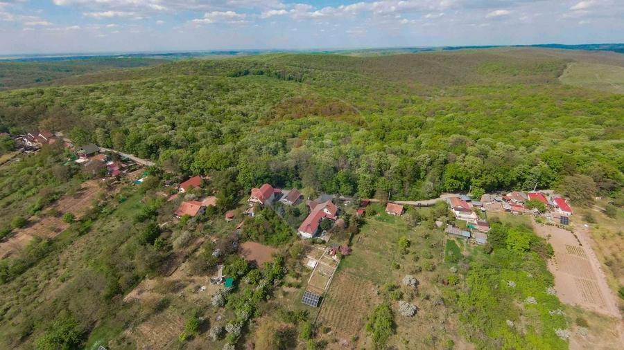 De vânzare casă și teren 1.425 mp - Podgoria - 13