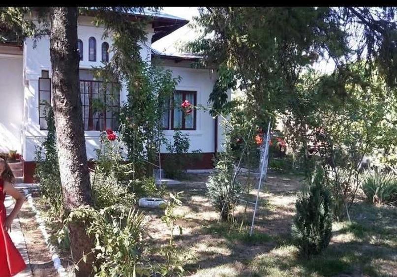 Casa Alba cu Farmec Romanesc-Suseni, Arges - 2