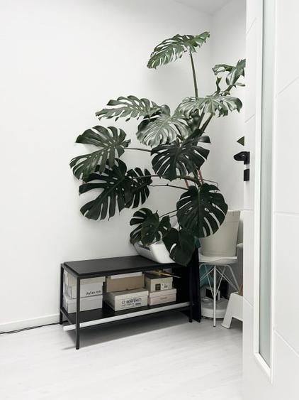 Casa insiruita, 90mp Utili, 227mp Teren, 4 camere -  Sacalaz - 8