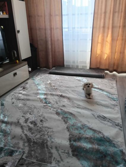 Vand apartament 4 camere Pantelimon - 1