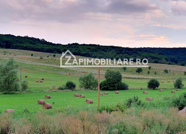 Teren intravilan 50 ari,Livezeni,iesire catre Ivanesti,28 eu/mp - 2