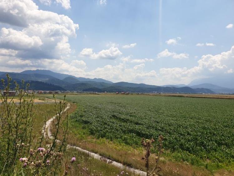 Brasov - Cristian, teren intravilan 34.000 mp, oferta pentru dezvoltatori. - 5