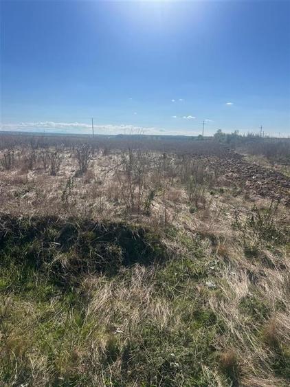 TEREN INTRE LES SI PAUSA - 1