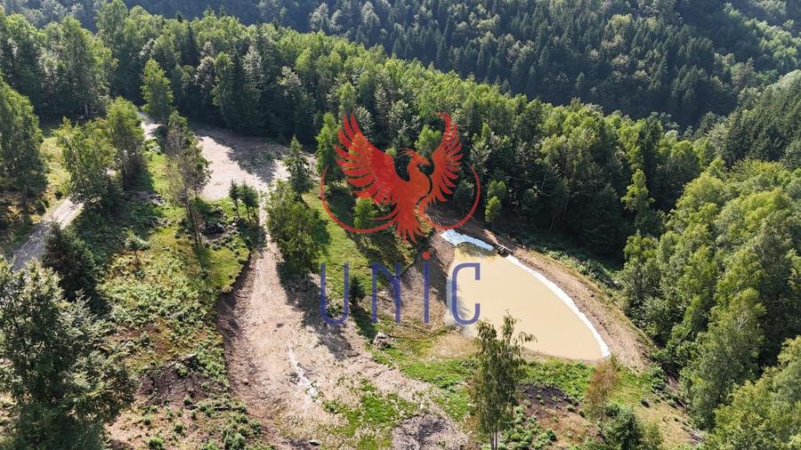 18000 mp de natura pura ,Lupeni, langa Straja - 3