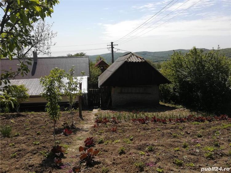 Proprietar vand gospodarie 1700mp comuna Rafaila jude?ul Vaslui str secundara 19, nr 234 - 1