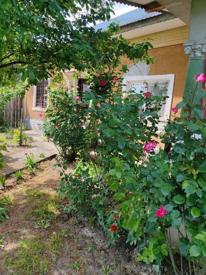 Teren cu casa batraneasca de vanzare - 1