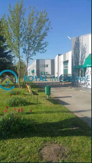 Royal Imobiliare - Inchiriere spatiu industrial Filipestii de Targ - 1