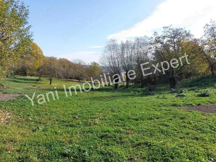 Teren de vanzare, in sat Blaju, comuna Tigveni, Judet Arges. - 10