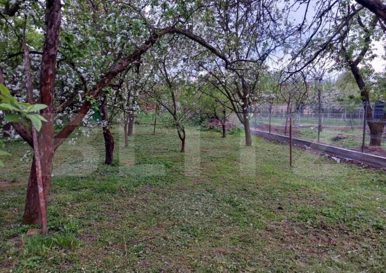 Teren, 600 mp, zona Bercu Rosu - 3