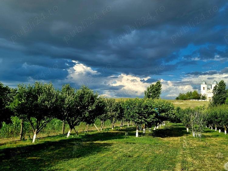 CASA 470 mp = D+P+M = ultracentral in sat Cataloi, judet. Tulcea - 14