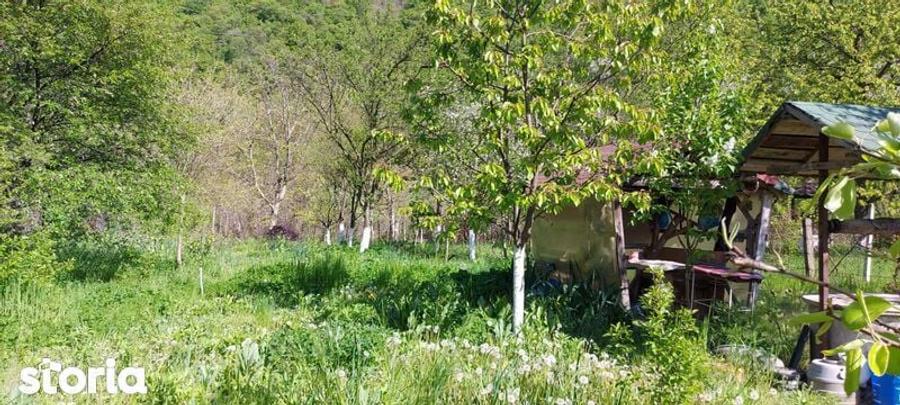 Teren intrare Herculane,E 70 Herculane-Orsova - 1