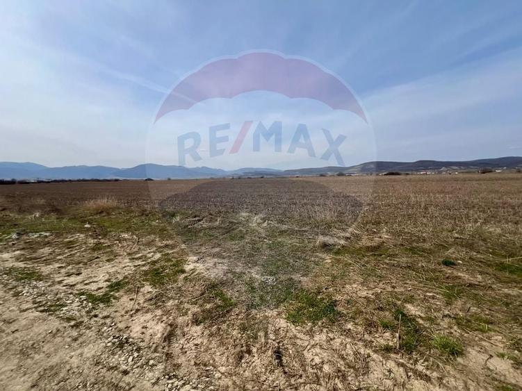 Teren de vanzare! - 3