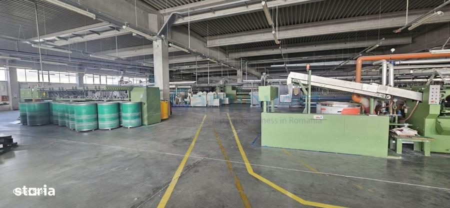 Hala Industriala 6500 mp,Madaras la 30 km de Oradea,Gaminvest,v4077 - 8