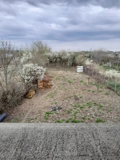 Casa de vanzare in Filia?i Dolj,cu teren intravilan in suprafa?a de 1144mp - 5