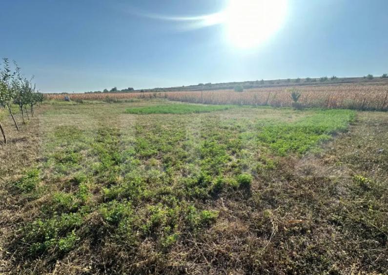 Teren extravilan, Oarda de Jos, 2072 mp, parcele intre 500-5 - 2