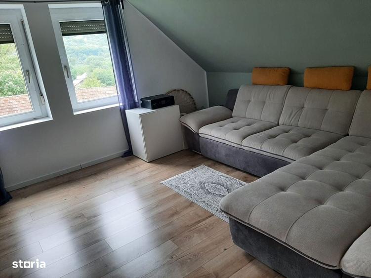 2 case pe curte / posibila investitie - 2